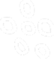 Image shape